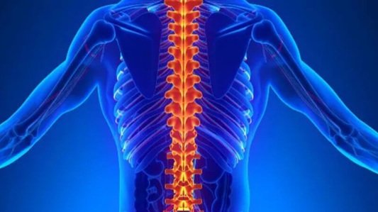 Understanding Fractured Vertebrae: Causes, Symptoms, and Treatment Options